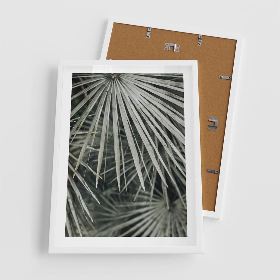 Plakat w ramie 50x70 - Ujęcie Tropikalnej Natury - palmy, liście palmy - rama biała