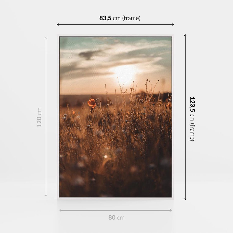 Obraz w ramie 80x120 - Zachwyt zachodem słońca na łące - zachód, słońca - rama biała