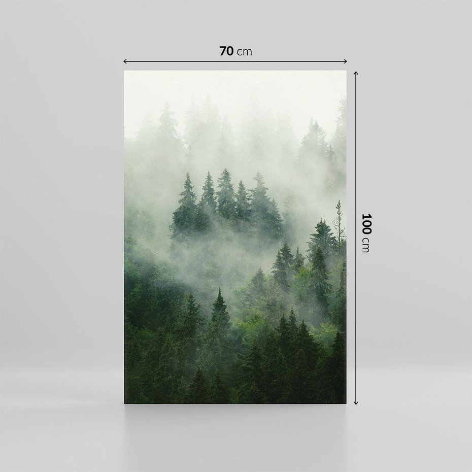 Obraz na płótnie 70x100 - Las Mgły - Las, we