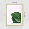 Plakat w ramie 40x50 - Zielone liście monstery - liście, monstera - rama drewno
