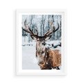 Plakat w ramie 50x70 - Jeleń na Zdjęciu pod Śniegiem - jeleń, zima - rama biała