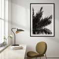Plakat w ramie 30x40 - Czas Zapomnienia - palmy, czarno biała fotografia - rama czarna