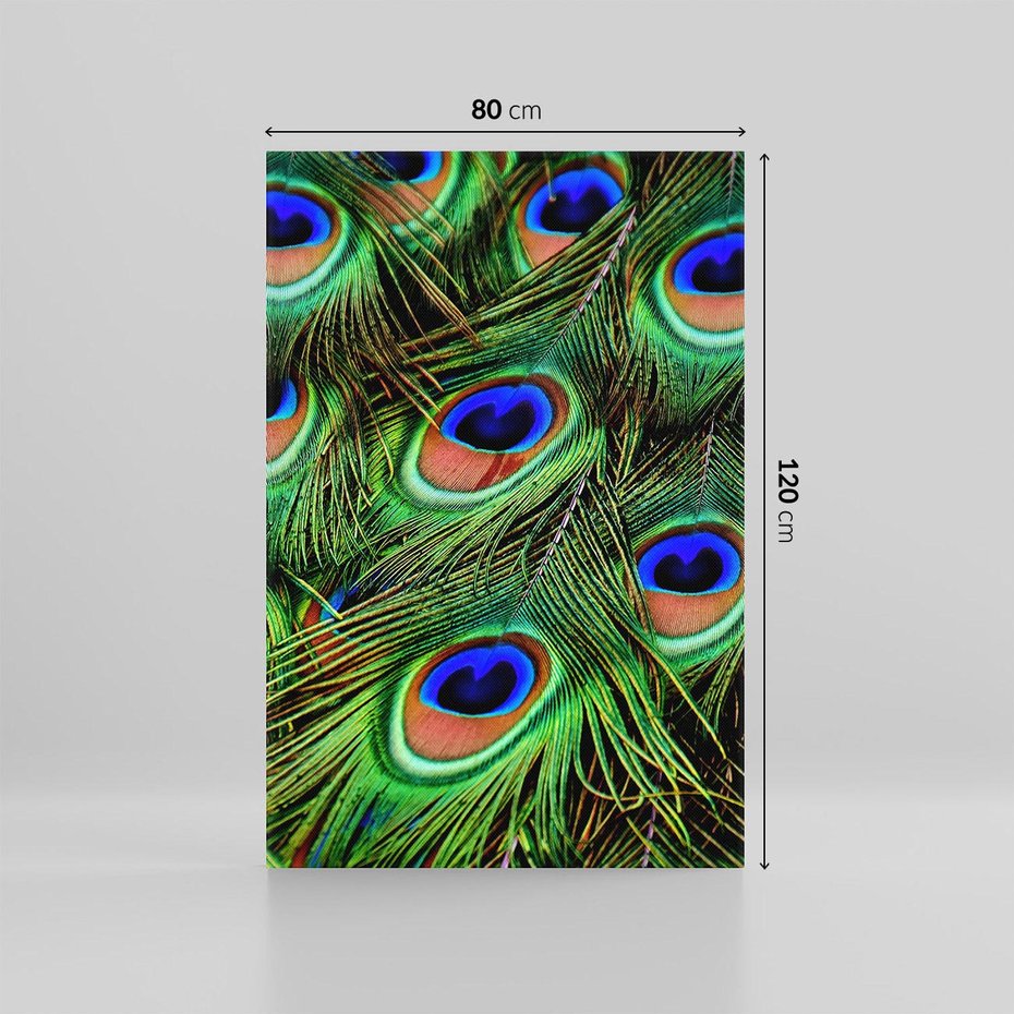 Obraz na płótnie 80x120 - Pawi Ogon - Piękno i Wspaniałość - paw, pióra