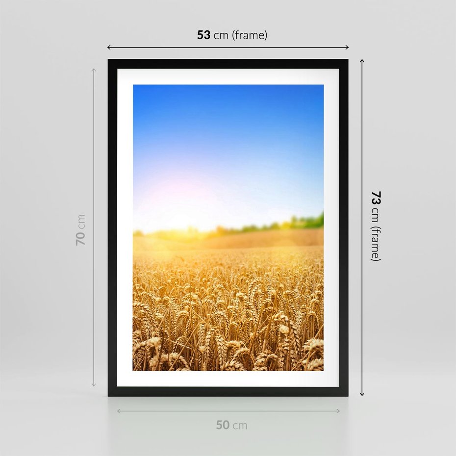 Plakat w ramie 50x70 - Żyzne Pola - pole, pszenicy - rama czarna