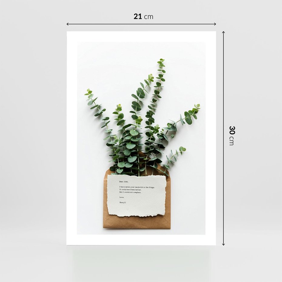 Plakat bez ramy 21x30 - Eukaliptusowa harmonia - eukaliptus, liście