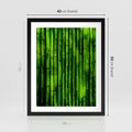 Plakat w ramie 40x50 - Bambusowy urok zielonej harmonii - bambus, zieleń - rama czarna