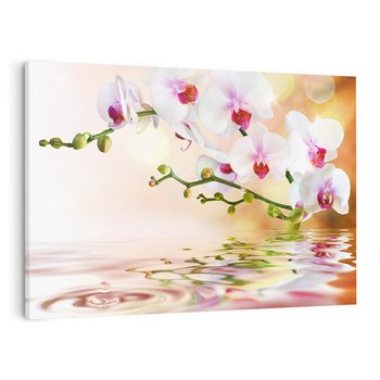 Obraz na płótnie 70x50 - Elegancja orchidei - orchidea, kwiaty