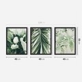 Zestaw obrazy w ramie 40x50 galeria - Liście, palma, monstera - rama czarna