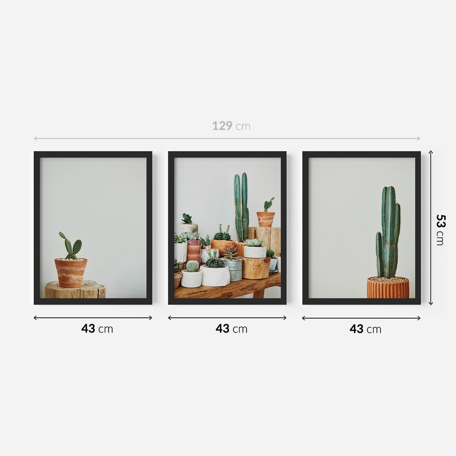 Zestaw obrazy w ramie 40x50 galeria - Kaktusy, w, doniczkach, boho - rama czarna