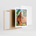 Plakat w ramie 40x50 - Elegancki wierzchowiec - koń, portret - rama drewno