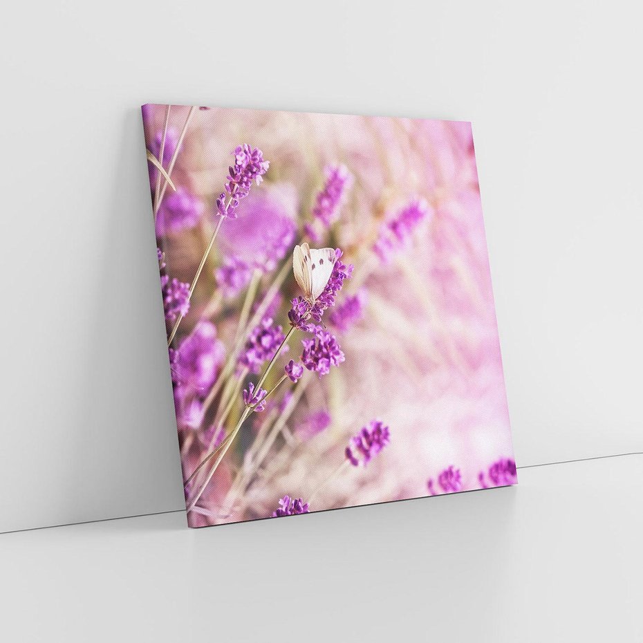 Obraz na płótnie 70x70 - Majestat lawendy: fioletowe pola - lawenda, fiolet