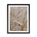 Plakat w ramie 50x70 - Beżowa Trawa - suche trawy, zbliżenie - rama czarna
