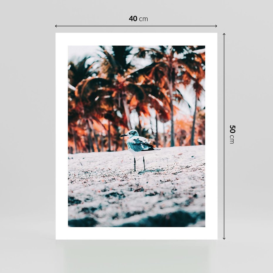 Plakat bez ramy 40x50 - Tropikalna Uroda: Plaża z Mewą - tropikalna plaża, mewa na piasku