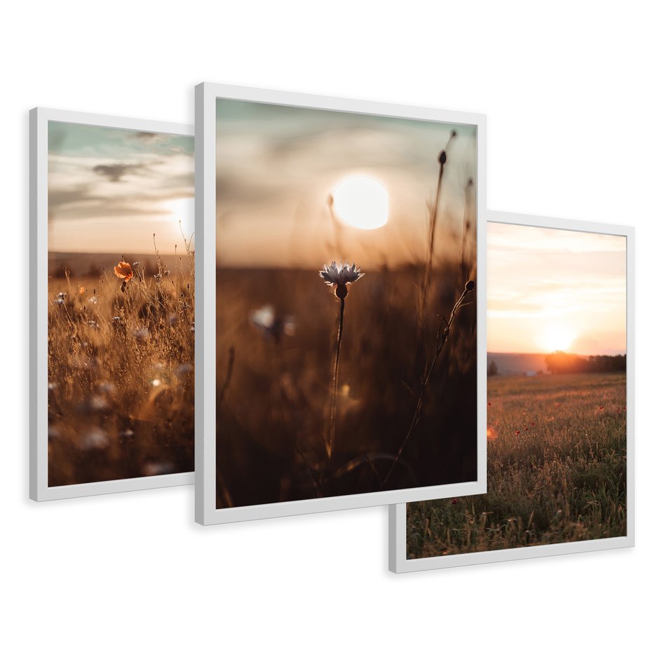 Zestaw obrazy w ramie 30x40 galeria - Zachód, słońca, łąka, kwiaty - rama biała