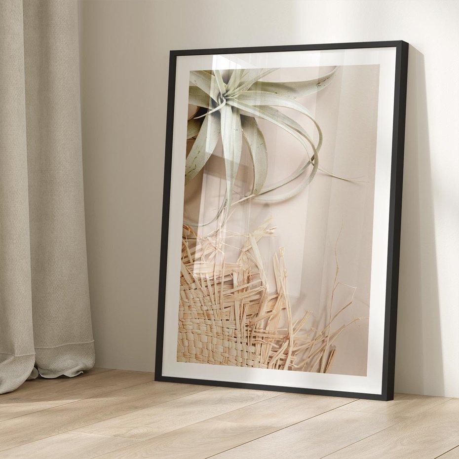 Plakat bez ramy 50x70 - Aloes w Stylu Boho - kompozycja, wiklina