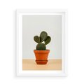 Plakat w ramie 50x70 - Kwiatowy taniec kaktusa - kaktus, kwiat - rama biała
