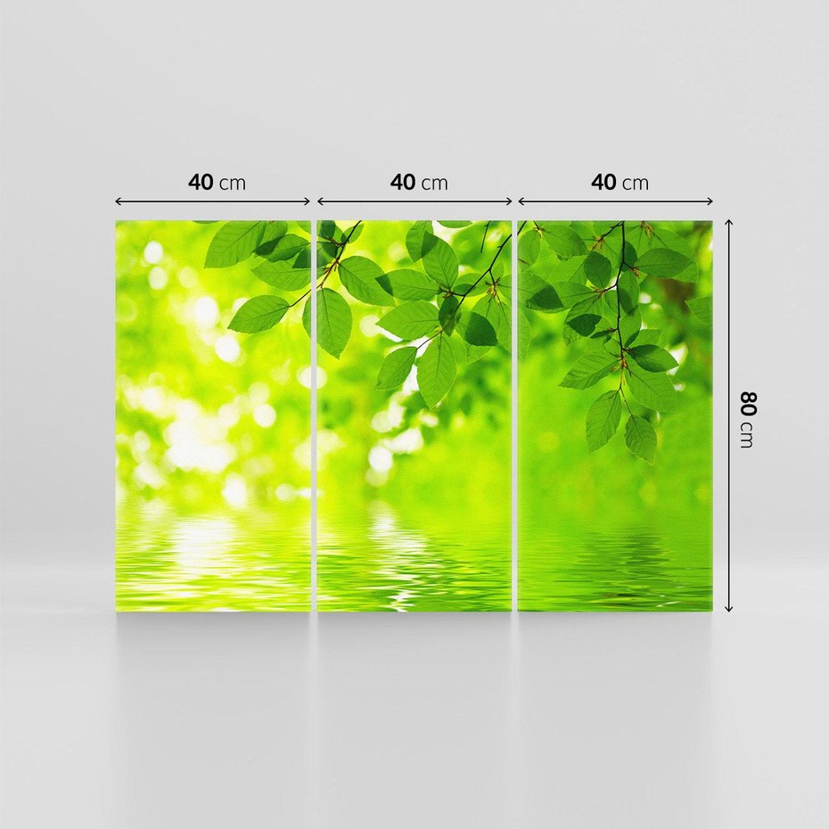 Obraz na płótnie 120x80 - Liście w Wodzie - liście, woda