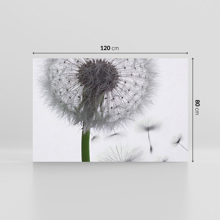 Obraz na płótnie 120x80 - Lekkość Przemijania - dmuchawiec, makro