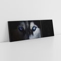 Obraz na płótnie 120x40 - Wilk i husky: siła przyjaźni - wilk, husky