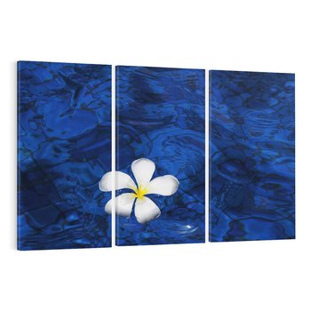 Obraz na płótnie 120x80 - Kwiaty wodne delikatność natury - kwiat, woda