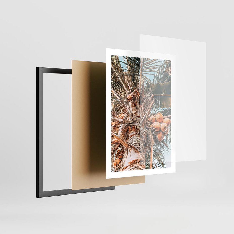 Plakat w ramie 50x70 - Tropikalna Palma: Fotografia z Kokosami - palma kokosowa, kokosy - rama czarna
