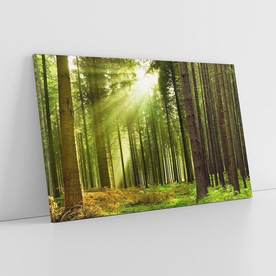 Obraz na płótnie 120x80 - Spokój wśród drzew: las w odcieniach zieleni - las, drzewa