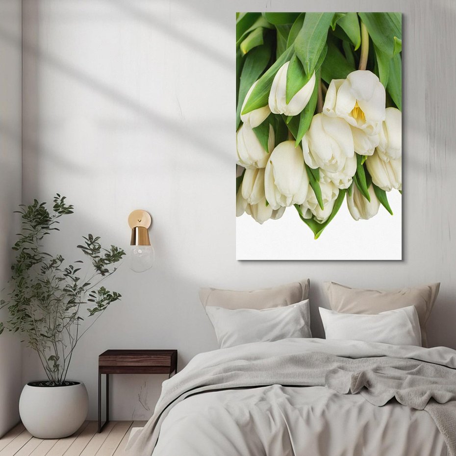Obraz na płótnie 80x120 - Białe tulipany w pełnym rozkwicie - białe, tulipany