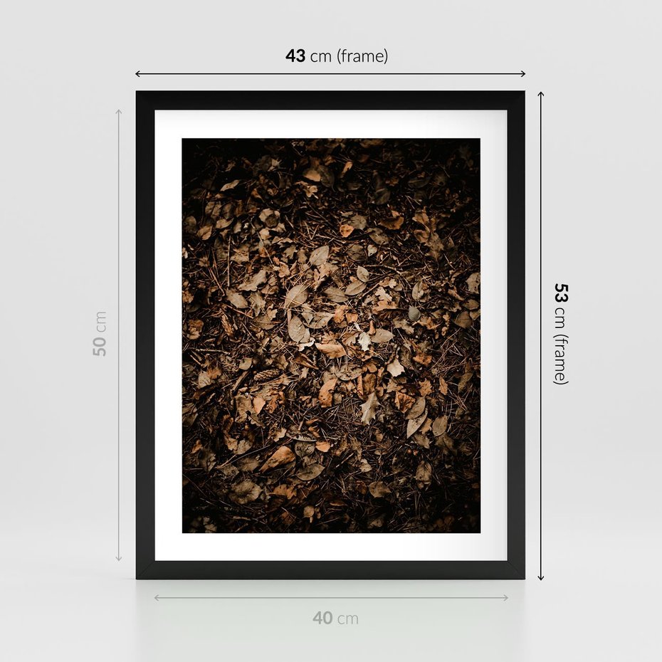 Plakat w ramie 40x50 - Brązowe Liście w Scenerii - suche liście jesień brąz - rama czarna