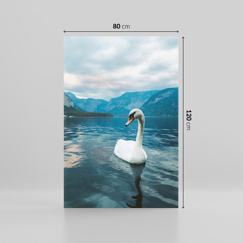 Obraz na płótnie 80x120 - Łabędzi Śpiew - fotografia, plakat