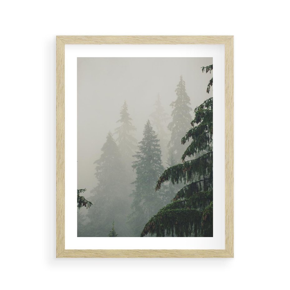Plakat w ramie 40x50 - Mglista przemiana lasu - las, mgła - rama drewno