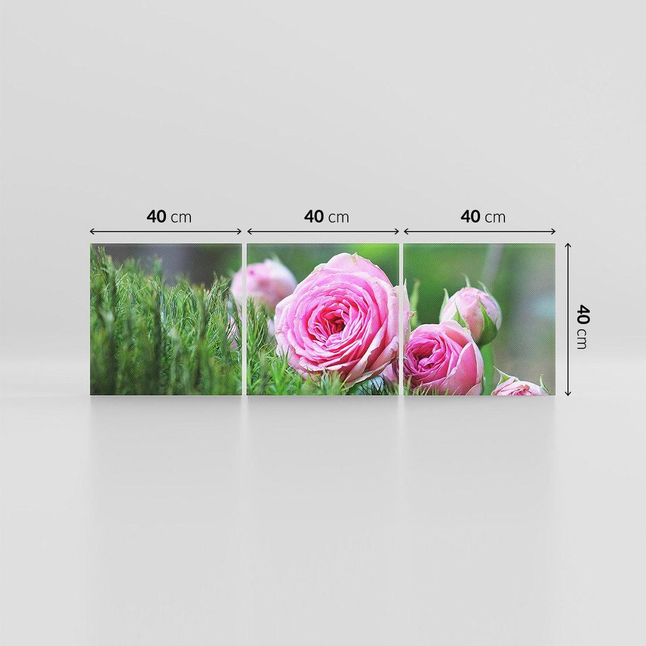 Obraz na płótnie 120x40 - Różane Ukojenie - róże, kwiaty