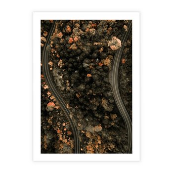 Plakat bez ramy 21x30 - Las i Droga w Kolorach Jesieni - droga, ujęcie z góry