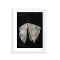 Plakat w ramie 30x40 - Obce Powidoki - abstrakcyjna ćma, mroczna atmosfera - rama biała