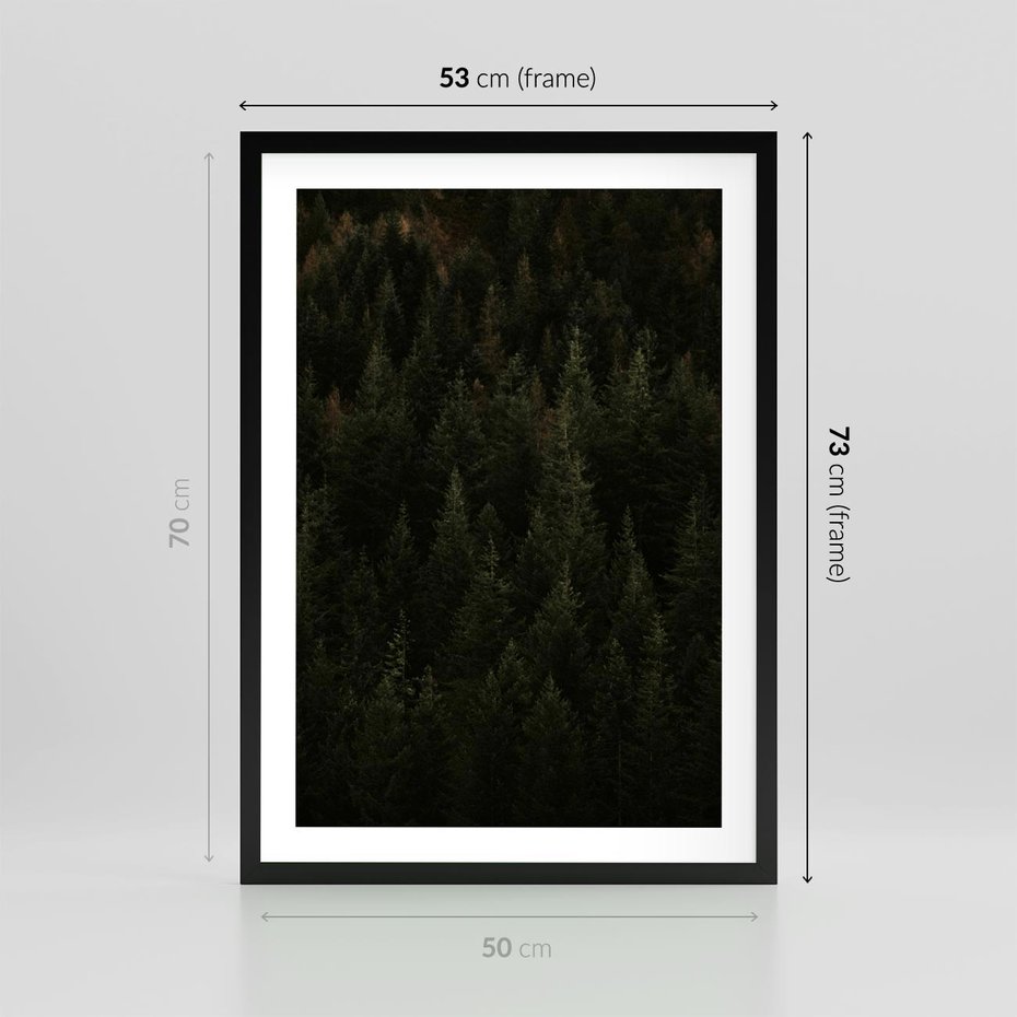Plakat w ramie 50x70 - Ciemny las iglasty - las, iglasty - rama czarna