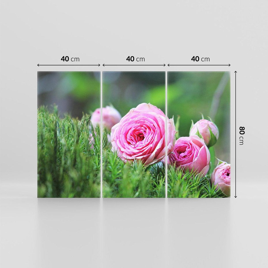 Obraz na płótnie 120x80 - Różane Ukojenie - róże, kwiaty