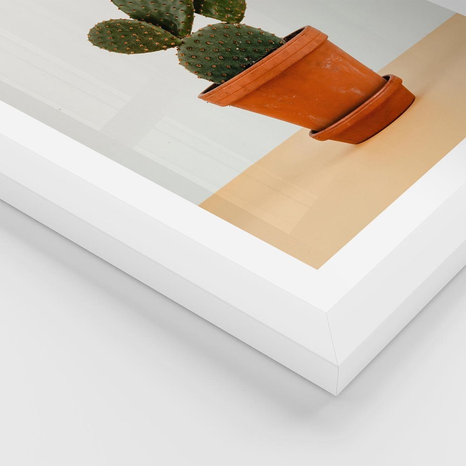 Plakat w ramie 30x40 - Kwiatowy taniec kaktusa - kaktus, kwiat - rama biała