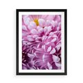Plakat w ramie 50x70 - Fioletowy zawrót głowy - kwiat, różowy kwiat - rama czarna