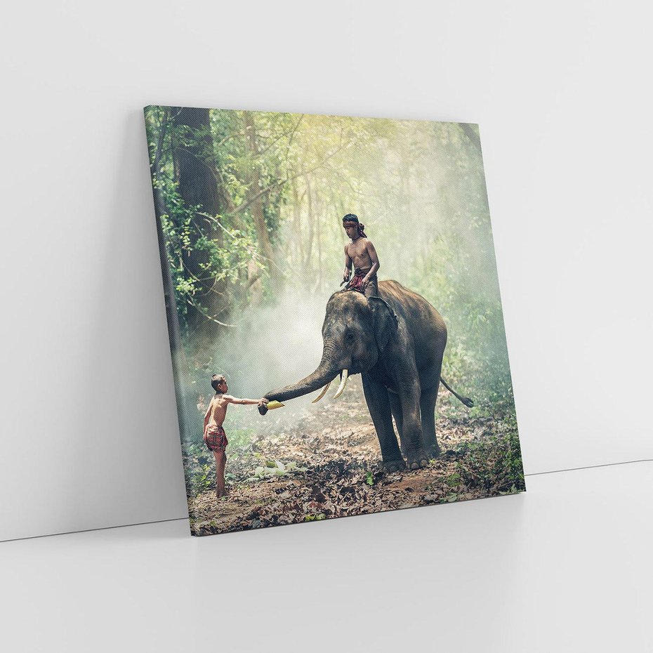Obraz na płótnie 30x30 - Azja słońce wśród lasu - Azja, słoń