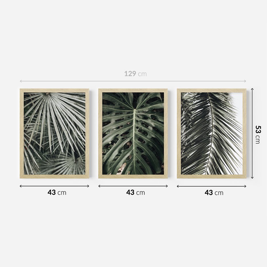 Zestaw obrazy w ramie 40x50 galeria - Liście, palmy, monstery - rama drewno