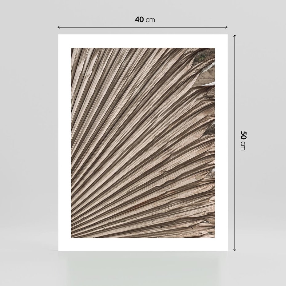 Plakat bez ramy 40x50 - Liść Palmy w Wyjątkowej Kompozycji - suchy liść palmy, boho styl