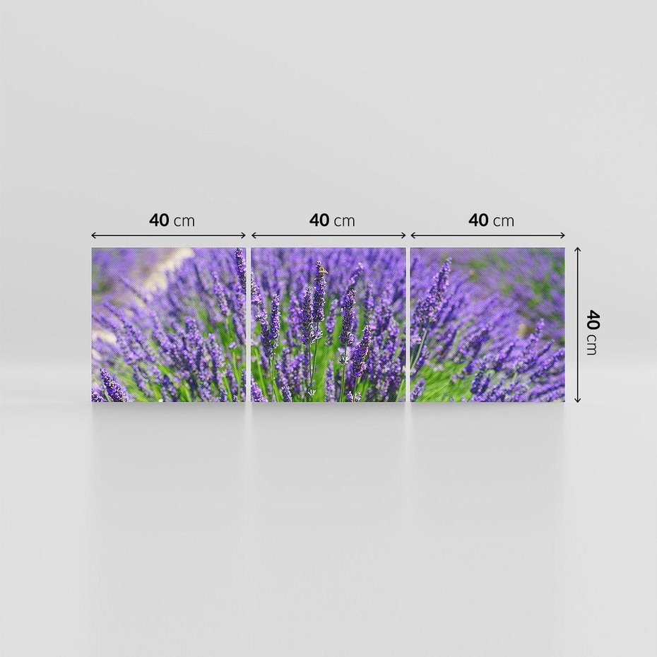 Obraz na płótnie 120x40 - Lawendowe pola piękno natury - lawenda, kwiaty