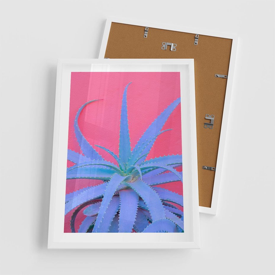 Plakat w ramie 50x70 - Piękno Pustyni - kaktusy, liście - rama biała