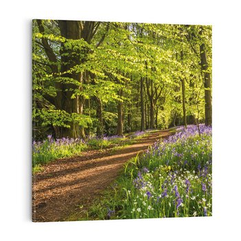 Obraz na płótnie 50x50 - Magia lasu: Drzewa w tajemniczej otoczce - las, drzewa