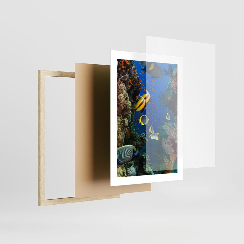 Plakat w ramie 30x40 - Podwodne królestwo rafy koralowej - rafa, koralowa - rama drewno