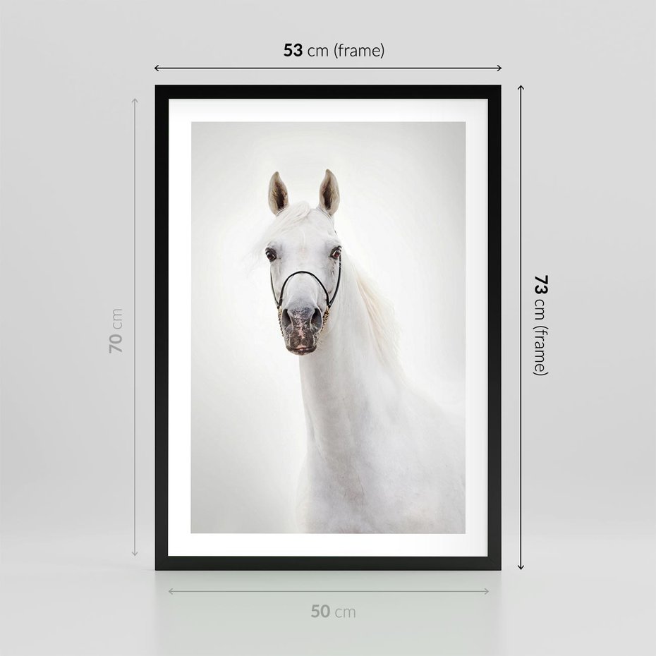 Plakat w ramie 50x70 - Elegancja białego konia - biały, koń - rama czarna