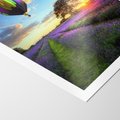 Plakat bez ramy 30x40 - Lawendowe Marzenia - lawenda, balony