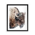 Plakat w ramie 40x50 - Obraz Dzikiej Przyrody w Śnieżnym Otoczeniu - żubr, śnieg - rama czarna