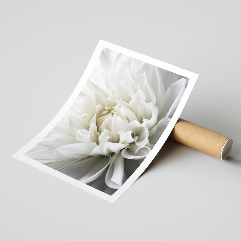 Plakat bez ramy 50x70 - Białe Kwiaty Delikatności - białe, kwiaty