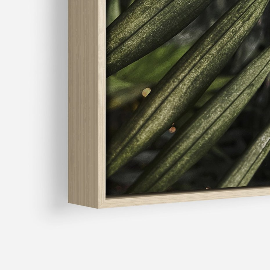 Obraz w ramie 50x70 - W Liściach Ukryte - zdjęcie, fotografia - rama drewno