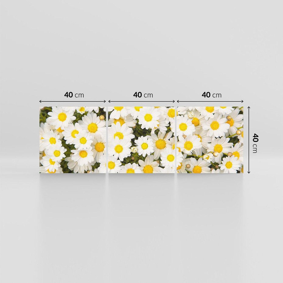Obraz na płótnie 120x40 - Delikatność Kwiatowej Przyrody - stokrotki, kwiaty